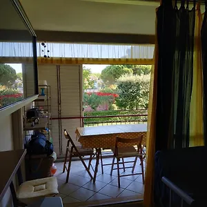 Miki , Marina Di Bibbona Italia